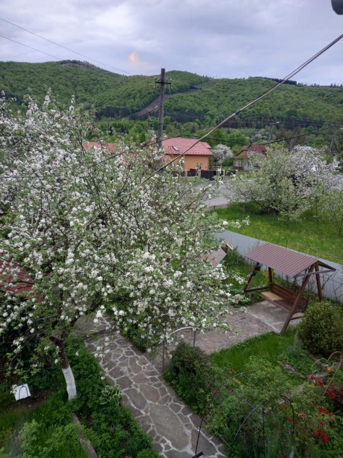Лаванда Яремче Екстериор снимка